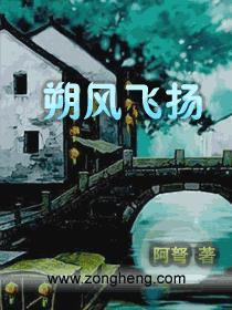 朔风飞扬txt精校版