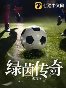 实况足球绿茵传奇突破95